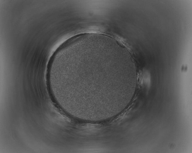 X0000091880292200710031747