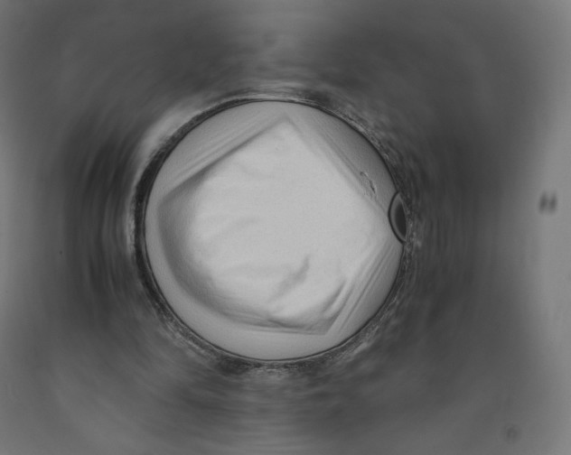 X0000091880294200710031747