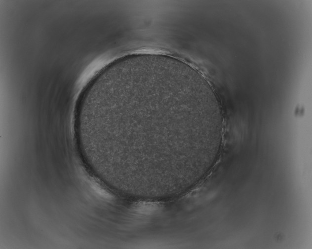 X0000091880296200710031747