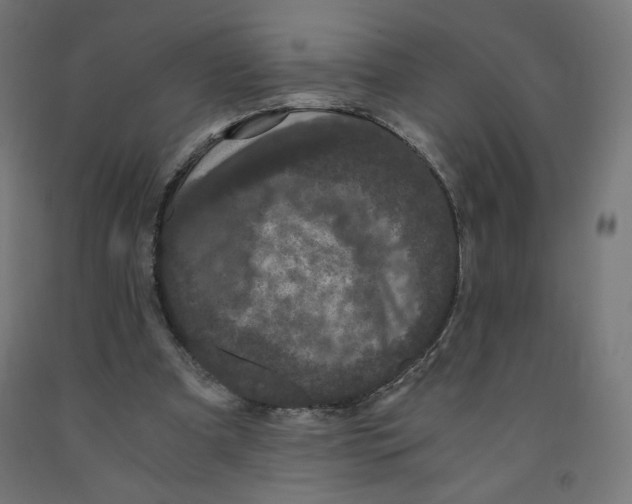 X0000091880297200710031747