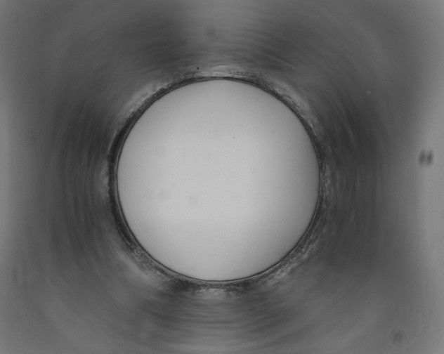 X0000091880298200710031747