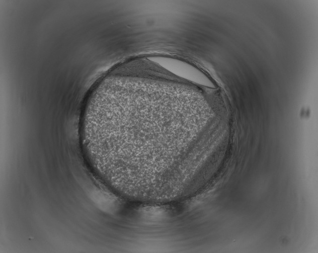 X0000091880299200710031747