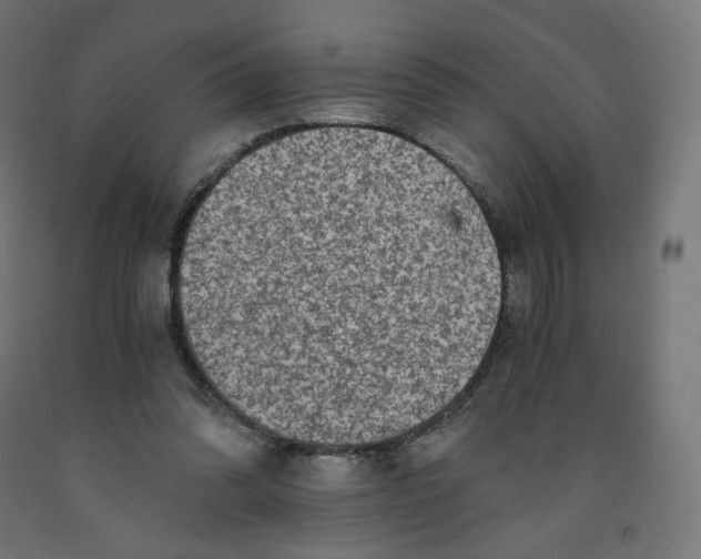 X0000091880302200710031747