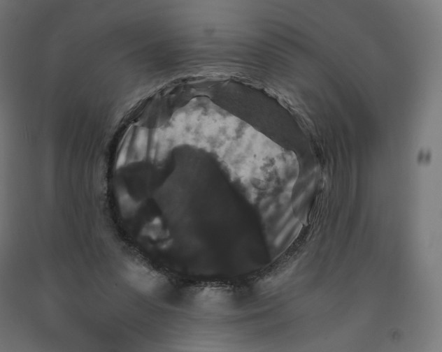 X0000091880303200710031747