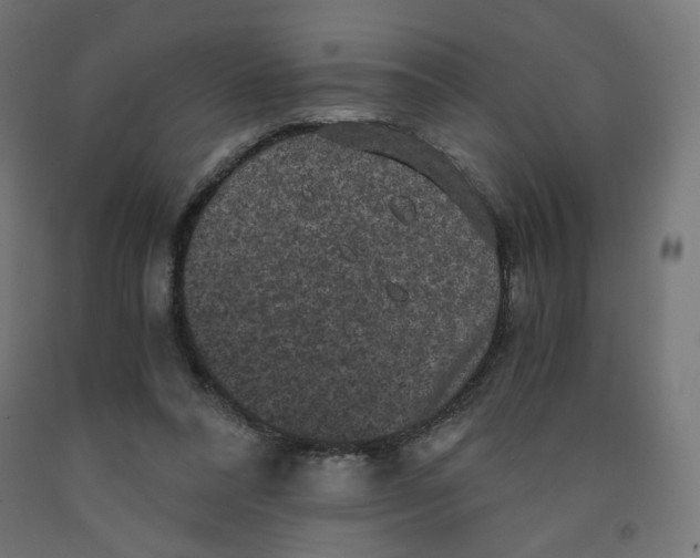 X0000091880304200710031747