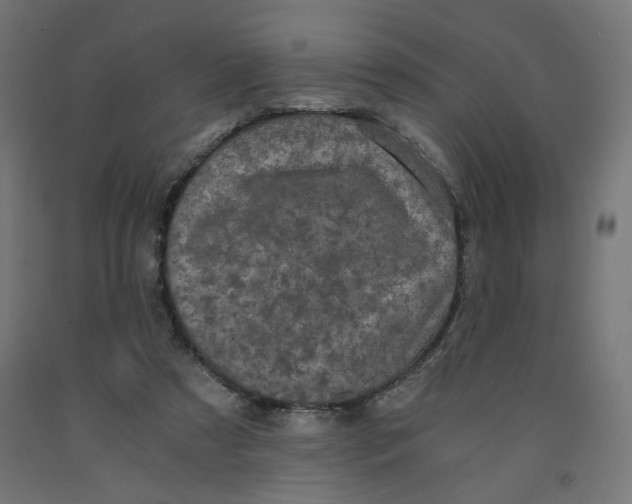 X0000091880305200710031747