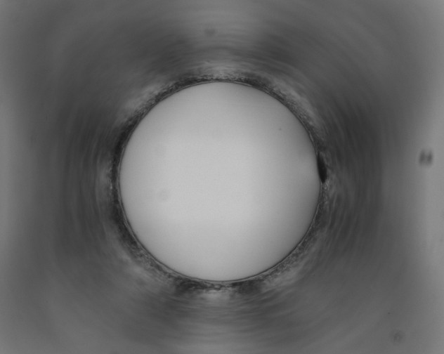 X0000091880306200710031747