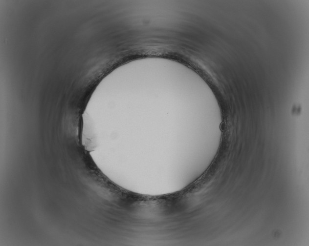 X0000091880307200710031747