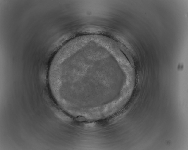 X0000091880309200710031747