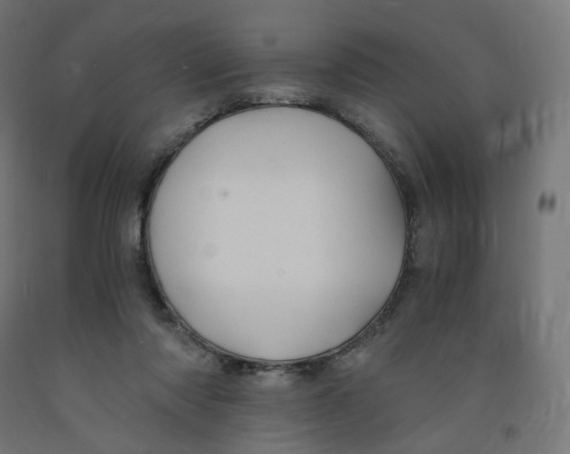 X0000091880310200710031747