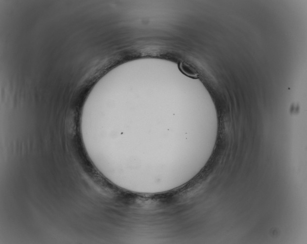 X0000091880311200710031747