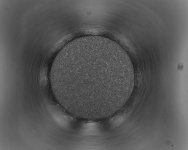 X0000091880312200710031747