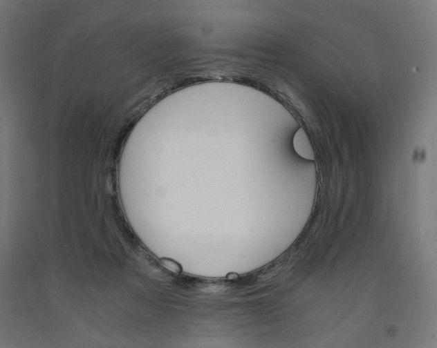 X0000091880313200710031747