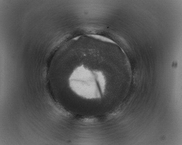 X0000091880314200710031747