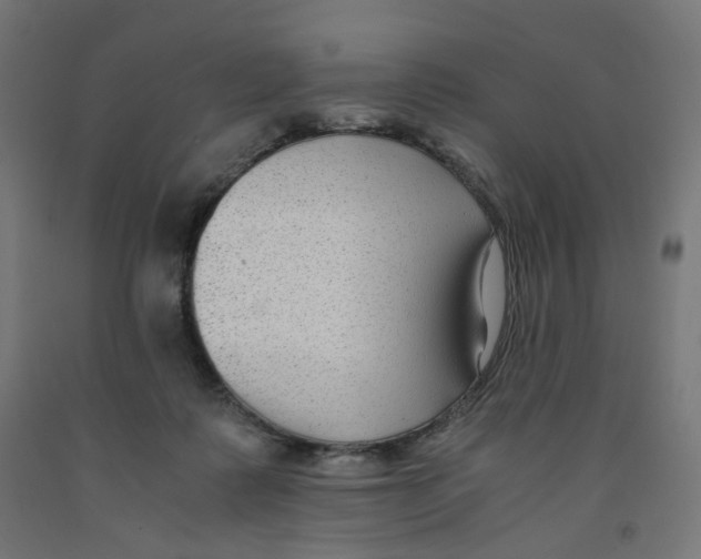 X0000091880315200710031747