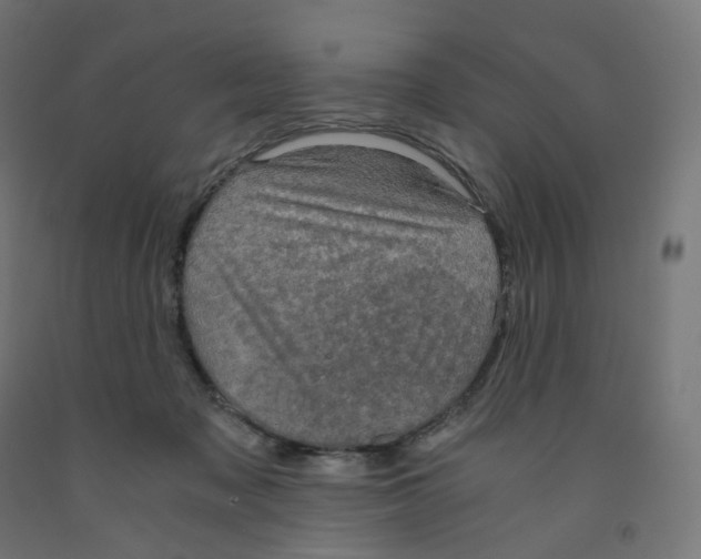 X0000091880317200710031747