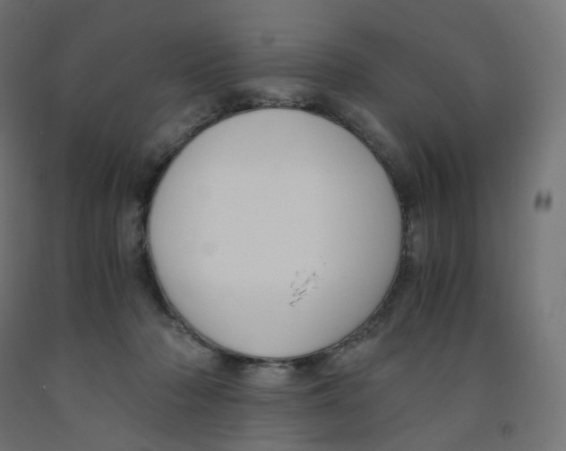 X0000091880318200710031747