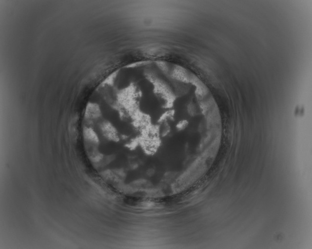 X0000091880319200710031747