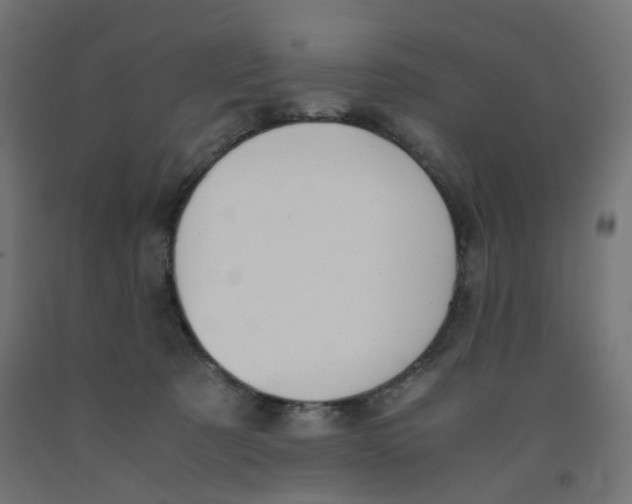 X0000091880321200710031747