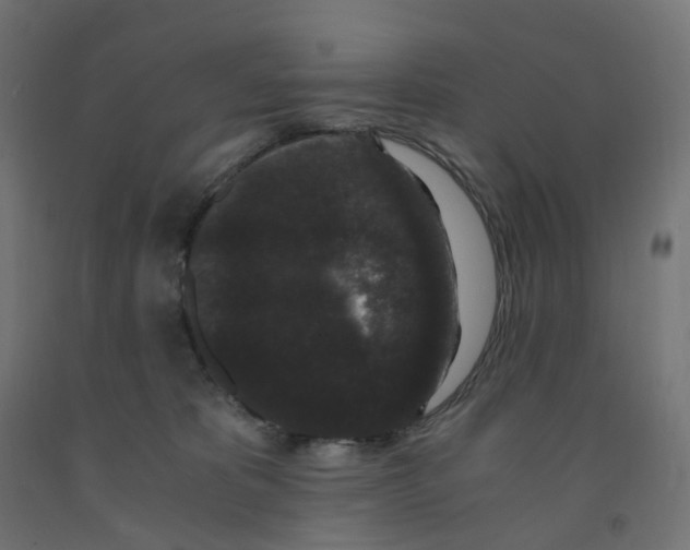 X0000091880325200710031747