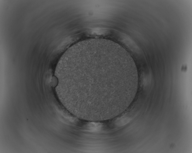 X0000091880328200710031746