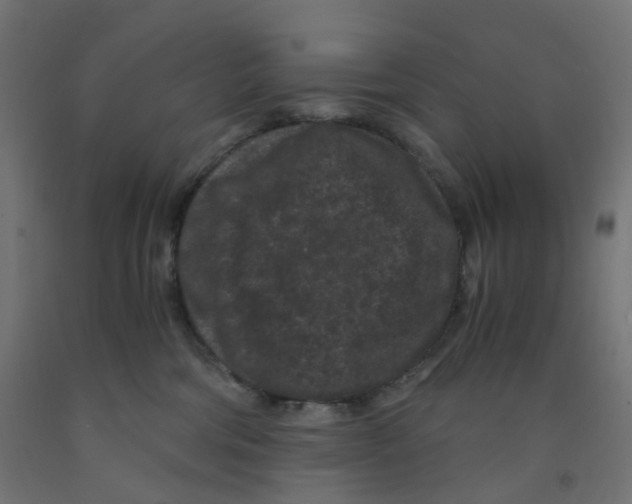 X0000091880330200710031746