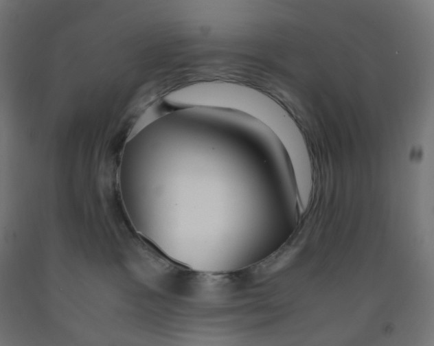 X0000091880333200710031746