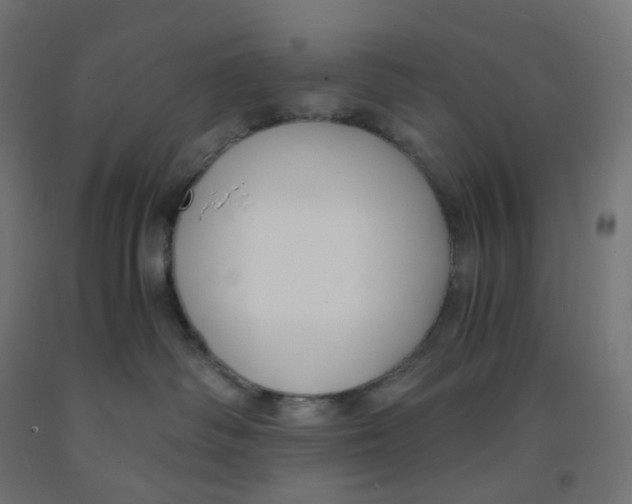 X0000091880334200710031746