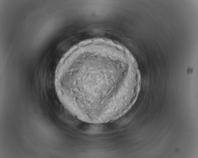 X0000091880335200710031746