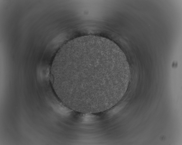 X0000091880336200710031746