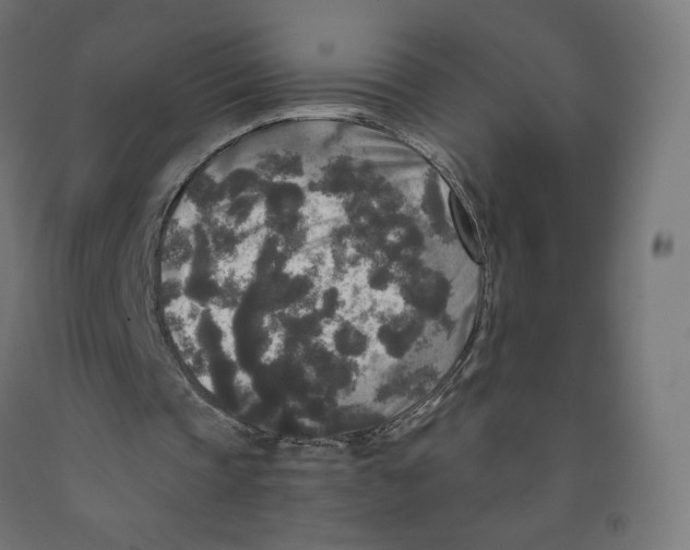 X0000091880337200710031746