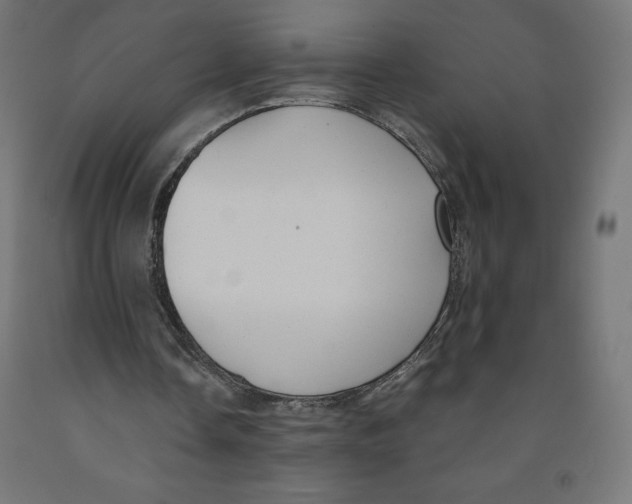 X0000091880338200710031746