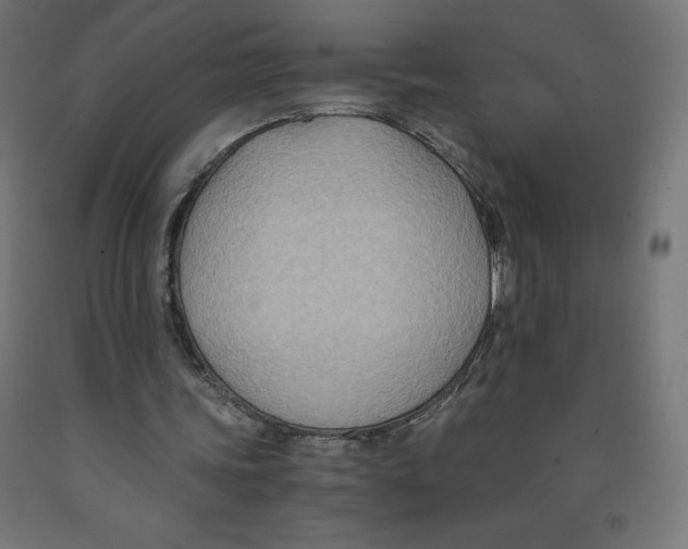 X0000091880339200710031746