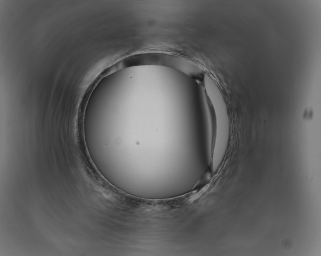 X0000091880340200710031746