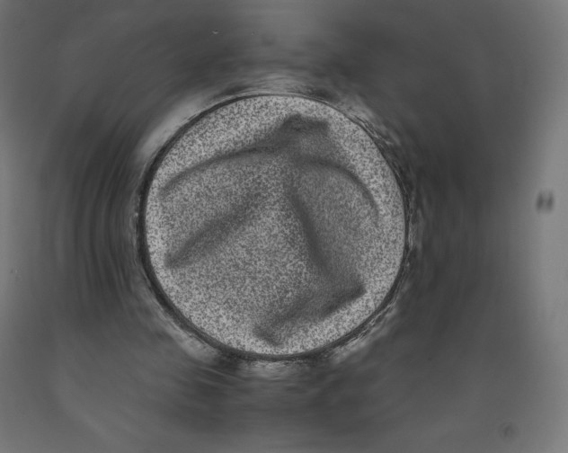 X0000091880341200710031746