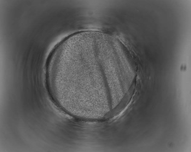 X0000091880342200710031746