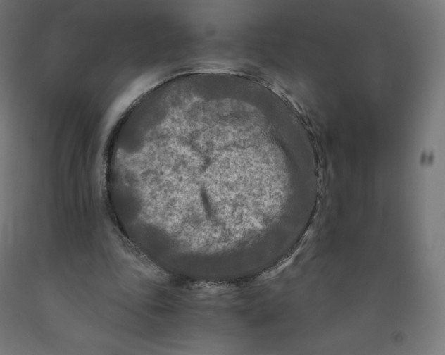 X0000091880343200710031746