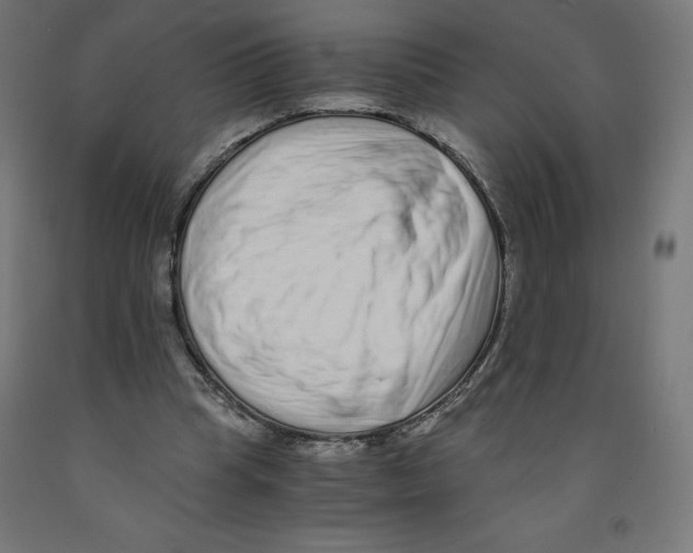 X0000091880345200710031746