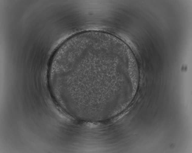 X0000091880346200710031746