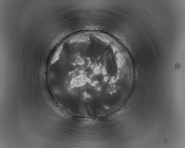 X0000091880347200710031746