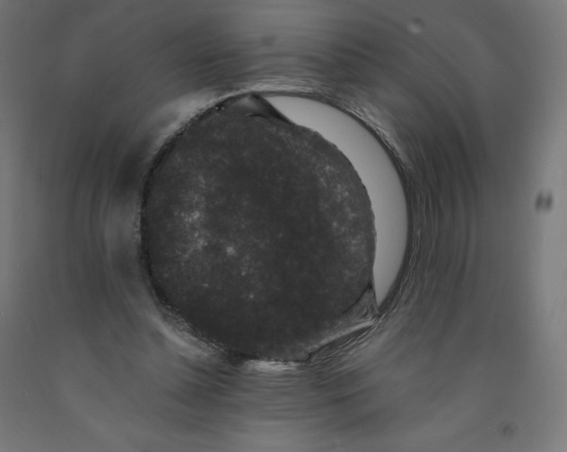 X0000091880348200710031746