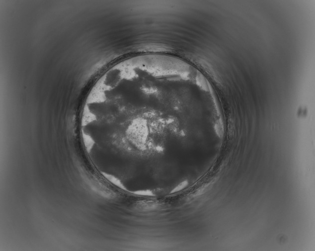 X0000091880351200710031746