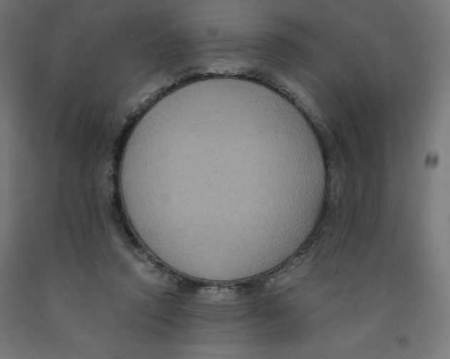 X0000091880354200710031746