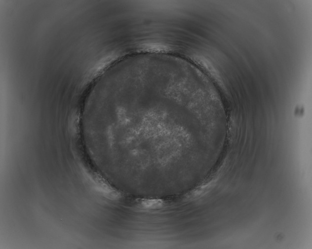 X0000091880355200710031746