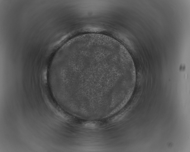 X0000091880358200710031746