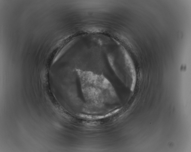 X0000091880359200710031746