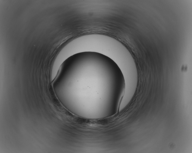 X0000091880360200710031746