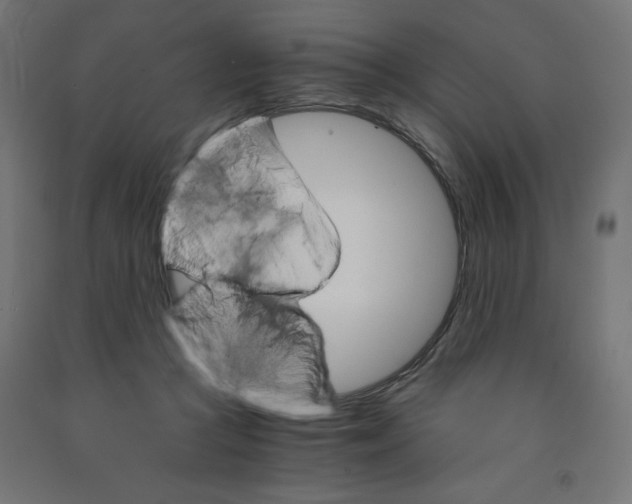 X0000091880361200710031746