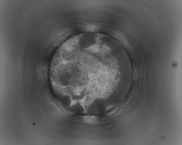 X0000091880363200710031746