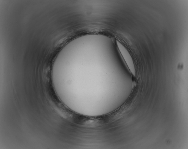 X0000091880364200710031746